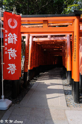 Thousands of Torii DSC_3212