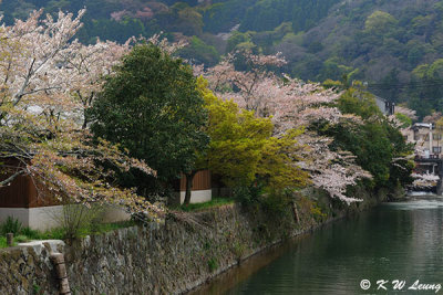 Arashiyama DSC_3331