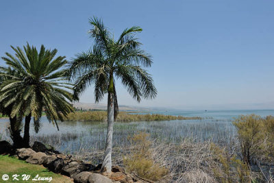 Sea of Galilee DSC_2188