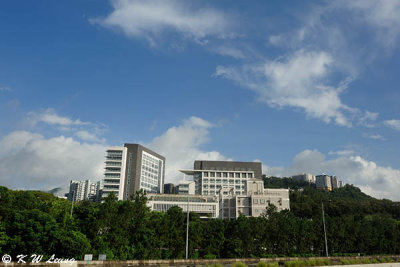 Chinese University DSC_6684