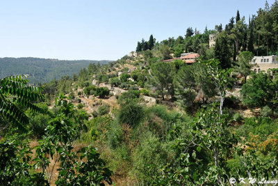 Ein Kerem DSC_3818