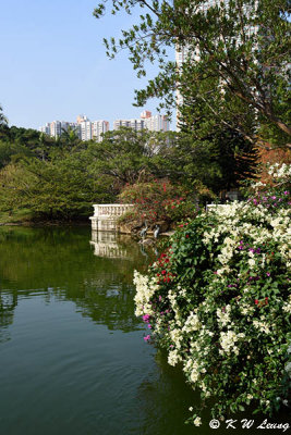 Tsing Yi Park DSC_4428