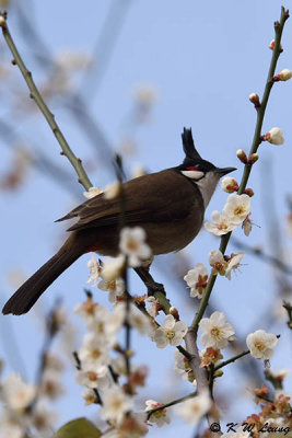 g9/75/35275/3/158881916.A2qUTGi6.jpg