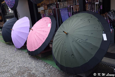 Umbrellas DSC_3295