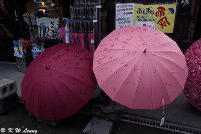 Umbrellas DSC_3292