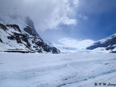 Columbia Icefield Glacier P5150427