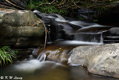 Brides Pool DSC_4364