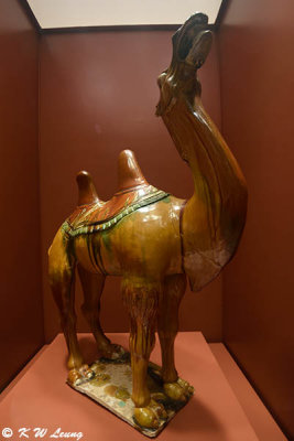 Sancai-glazed Pottery Camel DSC_6012