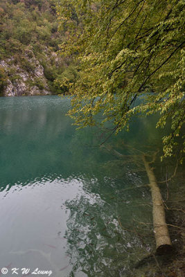 Plitvice lakes DSC_7311