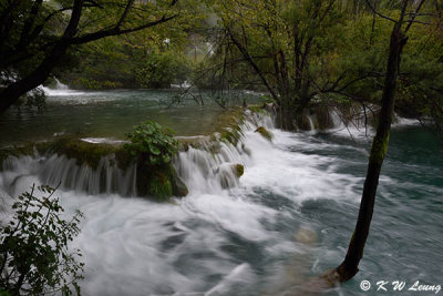 Plitvice lakes & falls DSC_7348