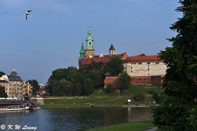 Wawel Castle DSC_9070