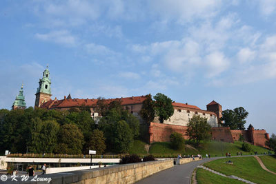 Wawel Castle DSC_9085