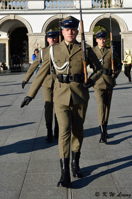 The Changing Guard of the Tomb of the Unknown Soldier DSC_9359