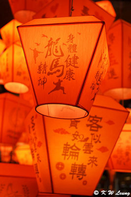 Lanterns DSC_3062