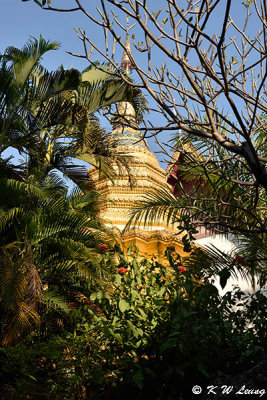 Wat Phanthong DSC_1829