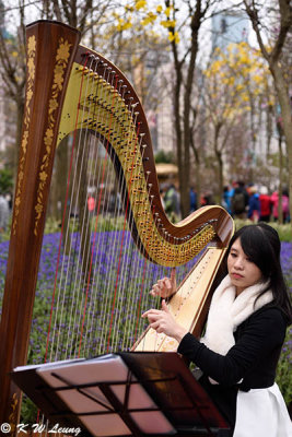 Harp Solo by Arielle Wong DSC_4069