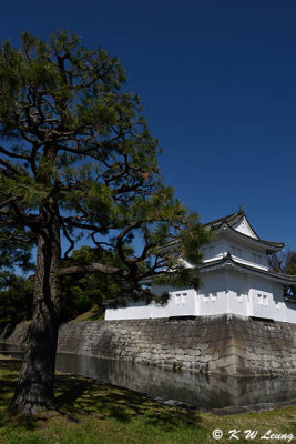 Nijo Castle DSC_0669