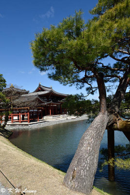 Byodoin Temple DSC_0373