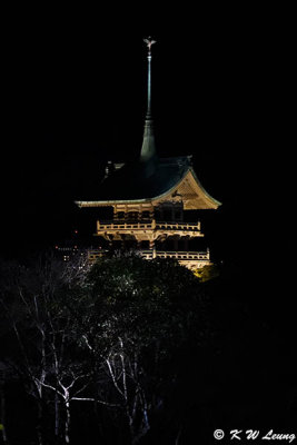Daiunin Temple DSC_0547