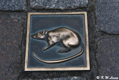 Rat tiles on the ground DSC_1574
