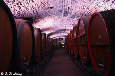 DIVINO wine cellar DSC_1256