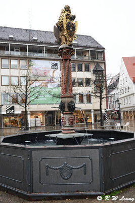 Lion Fountain DSC_0958