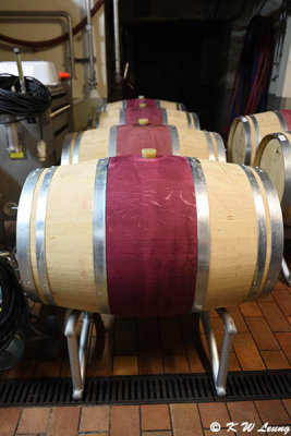 Wooden wine barrels DSC_1269
