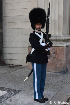 Amalienborg Palace Guard DSC_5637