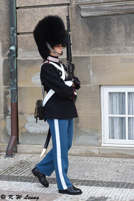 Amalienborg Palace Guard DSC_5630
