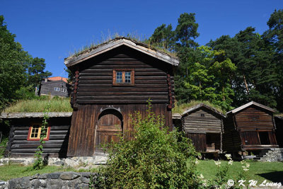 Norsk Folkemuseum DSC_5387