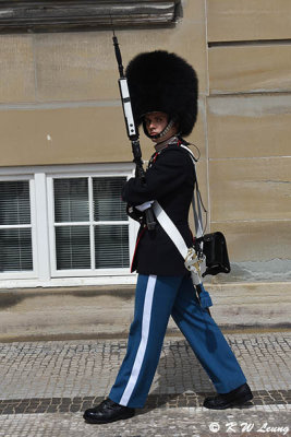 Amalienborg Palace Guard DSC_5646