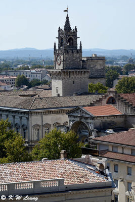 From the rooftop of Palais des Papese DSC_7328