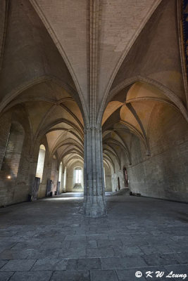 Palais des Papes DSC_7334