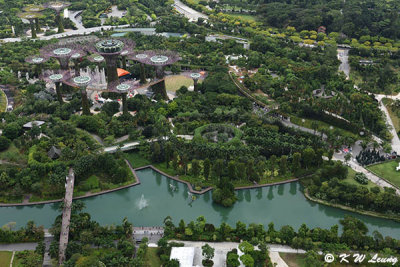 Garden by the Bay DSC_1484