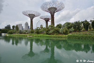 Garden by the Bay DSC_1495