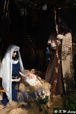 Nativity scene DSC_1597