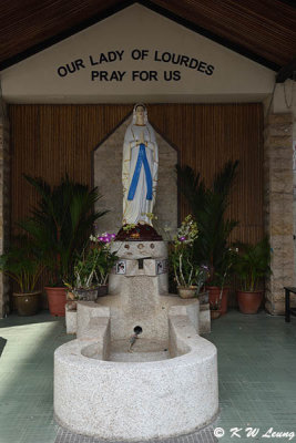 Our Lady of Lourdes DSC_1601