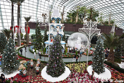 Merry Medley @ Flower Dome DSC_1565