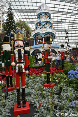 Merry Medley @ Flower Dome DSC_1571