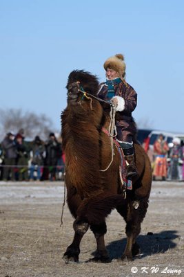 Camel riding DSC_5042