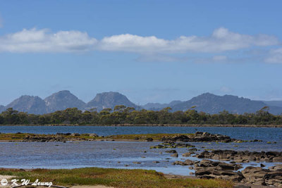 Oyster farm DSC_1984