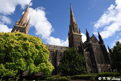 St. Patrick's Cathedral DSC_2300