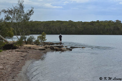 Lake Macquarie DSC_2595