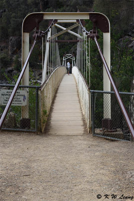 Suspension Bridge DSC_1756