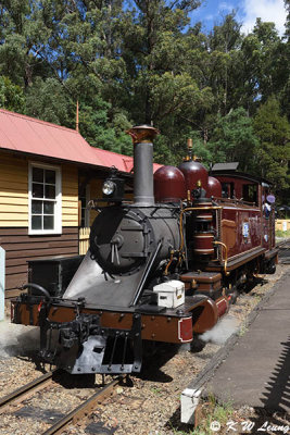Puffing Billy Railway DSC_2379