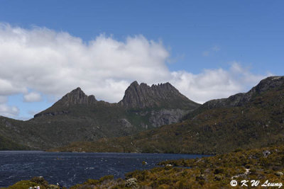 Cradle Mountain DSC_1898