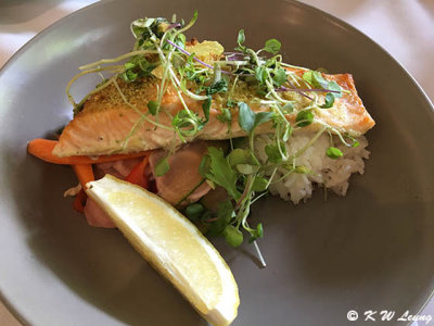 Salmon @ Cataract Gorge Restaurant IMG_2616