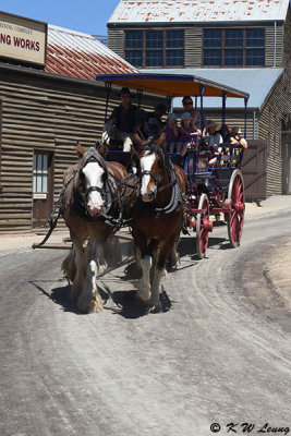 Sovereign Hill DSC_2446