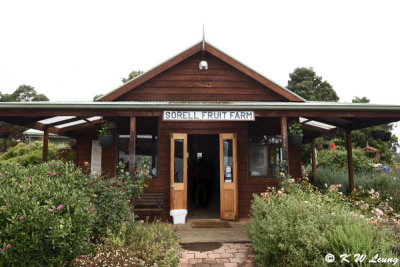 Sorell Fruit Farm DSC_2252