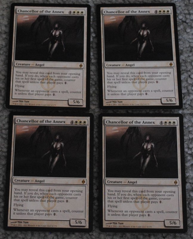 MTG 11_8_13_31.jpg